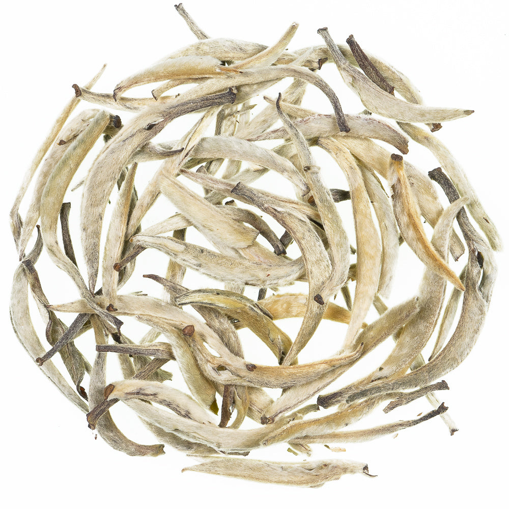 Tea Silver Needles (Cantata)